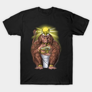 Ancient Egyptian Mythology Aani T-Shirt